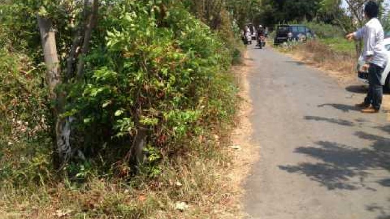 Beach Front Land At Lovina Singaraja