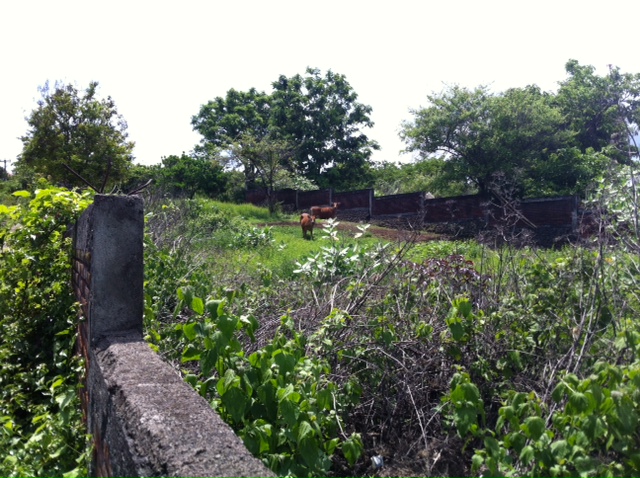 By Main Road Land At By Pass Nusa Dua