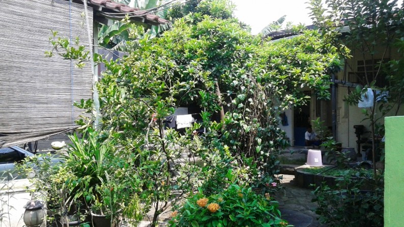 rumah bagus