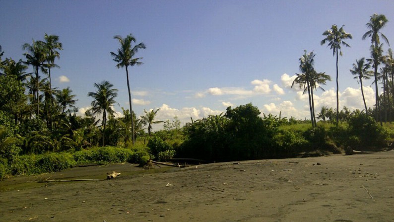 Beach Front Land At Ketewel Gianyar