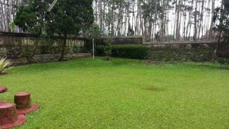 Villa Bagus,halaman luas di Cimacan Puncak