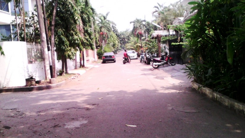 Rumah Nyaman di Camar, Bintaro