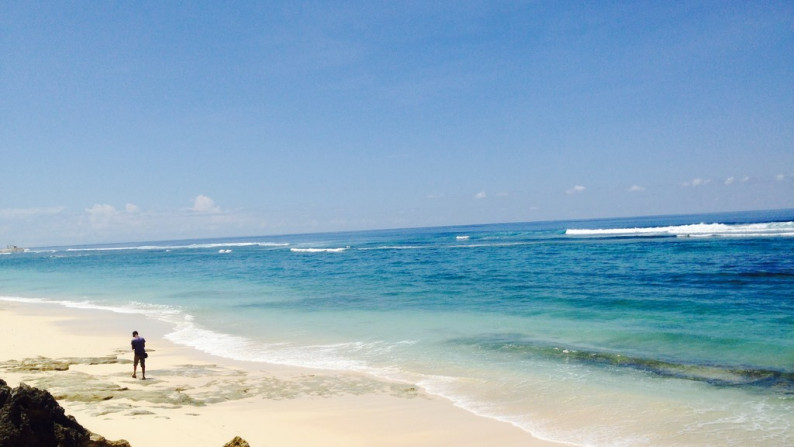 Unblock Seaview Land 2,7ha  Between 2 Famous Hotel in Ungasan Bali