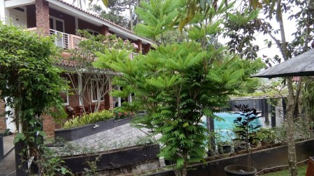 Dijual Villa Cipanas Luas Bagus