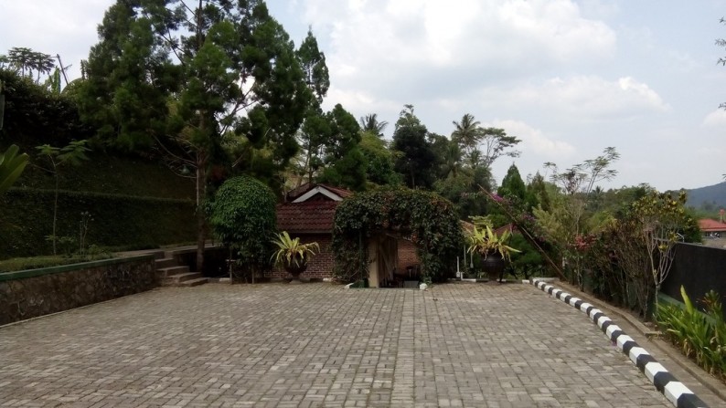 Dijual Villa Cipanas Luas Bagus