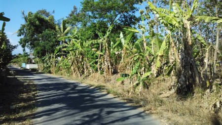 TANAH DIJUAL DI SANGGRAHAN, WEDOMARTANI, NGEMPLAK, SLEMAN