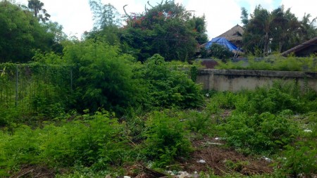 Freehold Rare Land in Heart of Seminyak, Close to Beach and Famous Restaurant