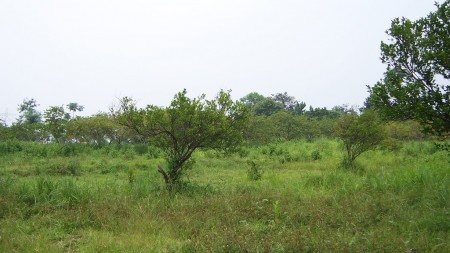 Tanah commercia di Parung Bogor