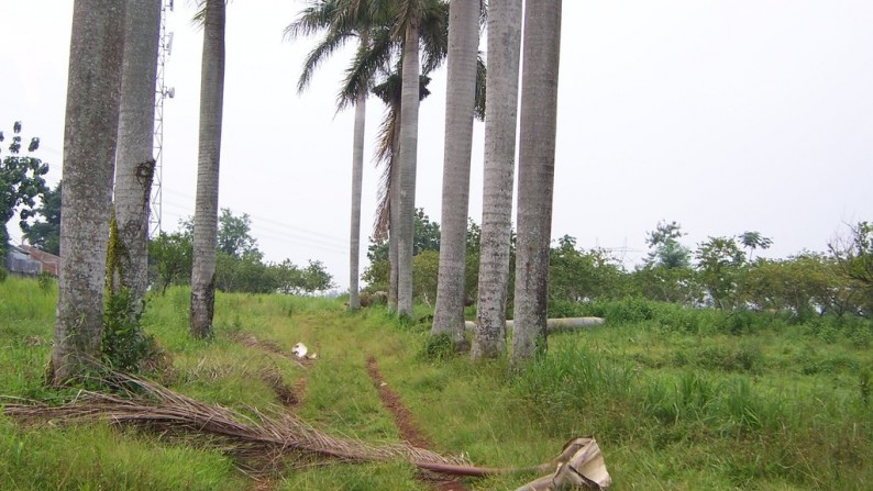 Tanah commercia di Parung Bogor