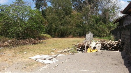 Land For Sale At Tumbak Bayuh Canggu