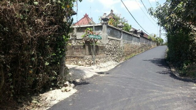 Land For Sale At Tumbak Bayuh Canggu