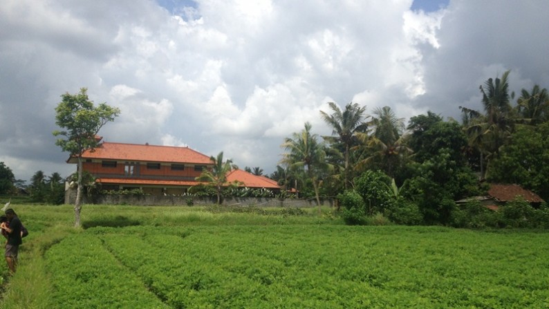 Rice Field View Land At Ubud Area