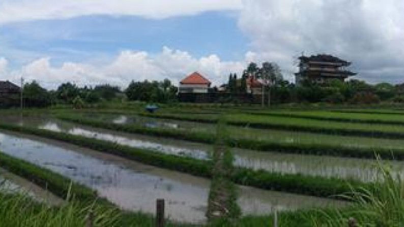 Land At Bumbak Umalas Surrounding By Villa Complex