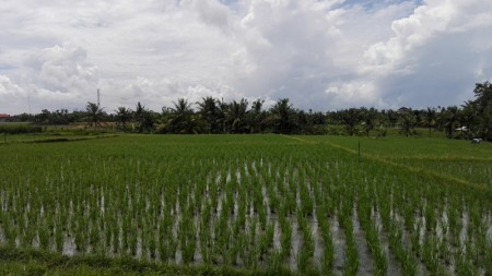 Land Near Tanah Lot Tourism Area