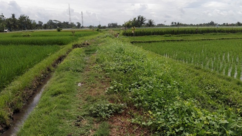 Land Near Tanah Lot Tourism Area