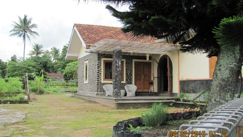 KEBUN HERBS + RUMAH DIJUAL DI PAKEMBINANGUN, SLEMAN, YOGYAKARTA