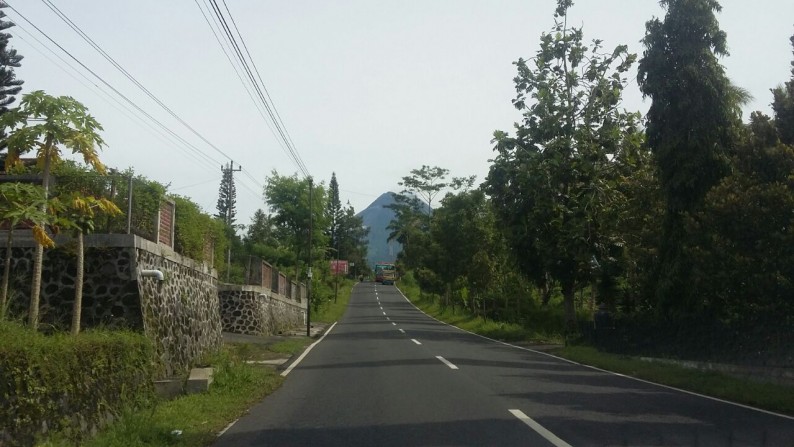 KEBUN HERBS + RUMAH DIJUAL DI PAKEMBINANGUN, SLEMAN, YOGYAKARTA