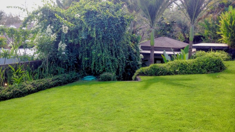 Freehold Sea View Villa 4 Beds in Uluwatu