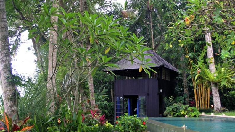 Rice Field View Villa Situated Near The Town of Ubud