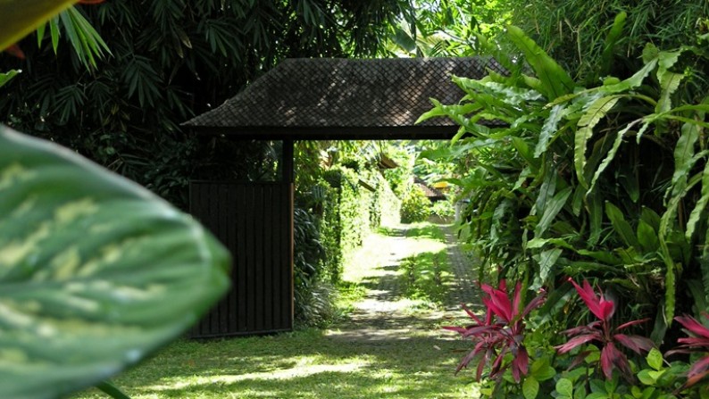 Rice Field View Villa Situated Near The Town of Ubud