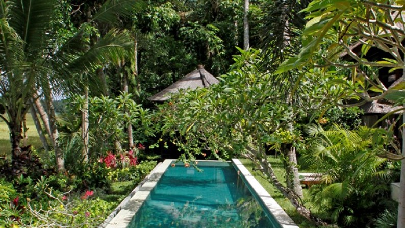 Rice Field View Villa Situated Near The Town of Ubud