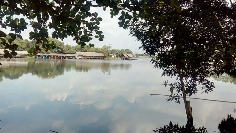 Tanah di Cinangka Depok