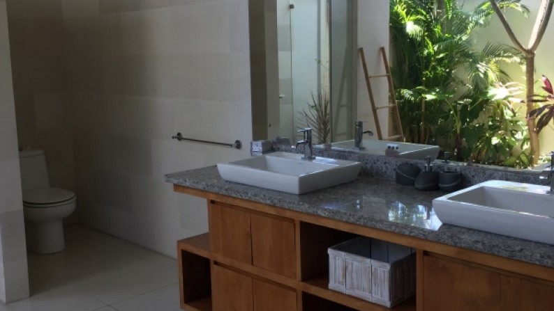 Beautiful villa with rice paddy view for sale in Batu Bolong Canggu