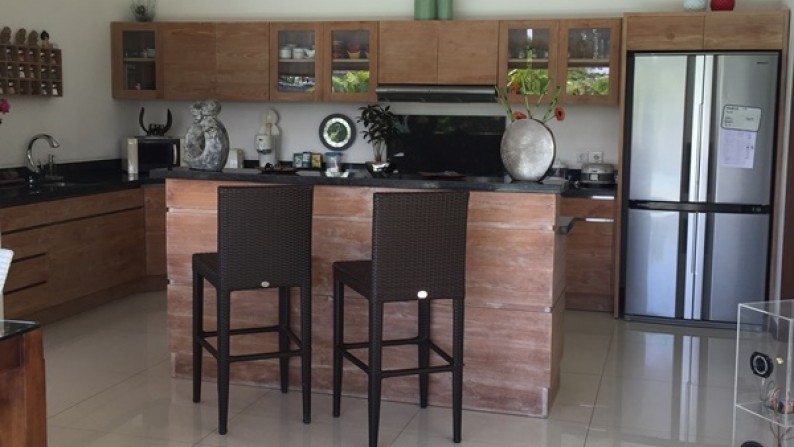 Beautiful villa with rice paddy view for sale in Batu Bolong Canggu