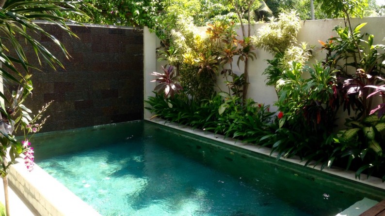 Freehold Brand New Villa 2 Bedrooms in Pererenan - Canggu