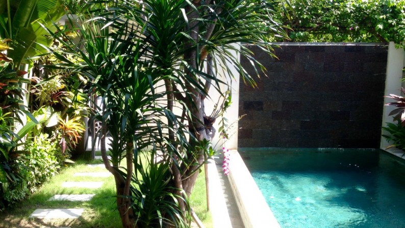 Freehold Brand New Villa 2 Bedrooms in Pererenan - Canggu