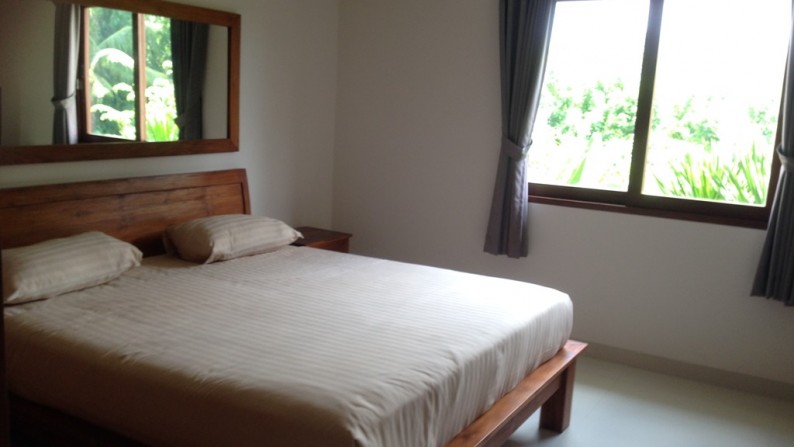 Freehold Brand New Villa 2 Bedrooms in Pererenan - Canggu