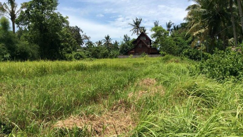 Land At Lod Tunduh Ubud Villa Complex