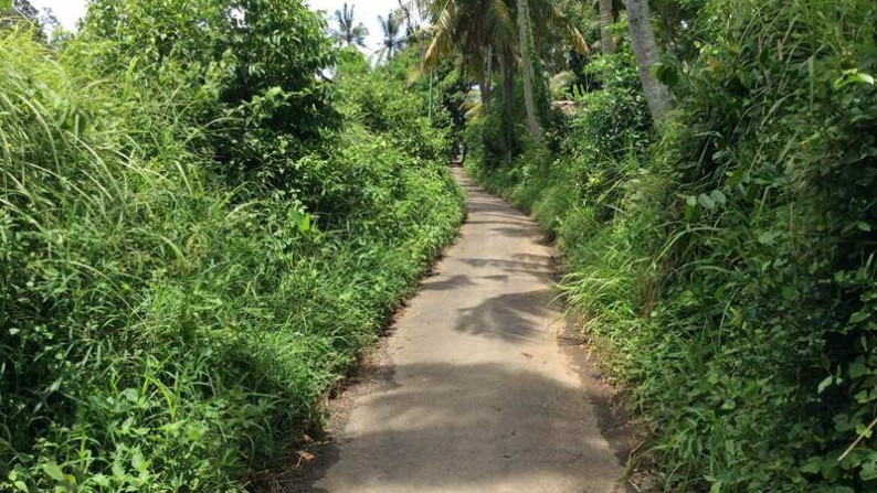 Land At Lod Tunduh Ubud Villa Complex