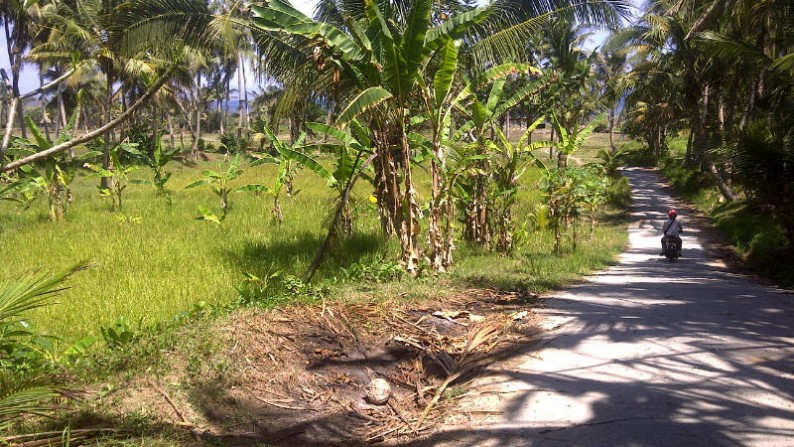 Land Only 150 Meter From The Beach At Saba Gianyar