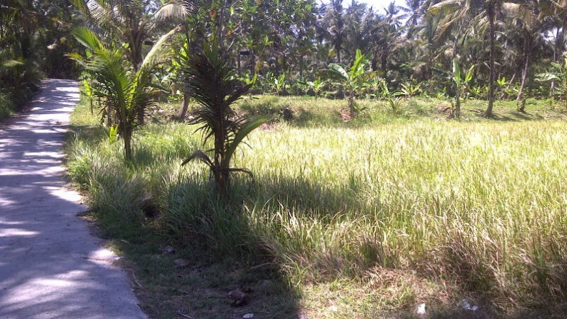 Land Only 150 Meter From The Beach At Saba Gianyar