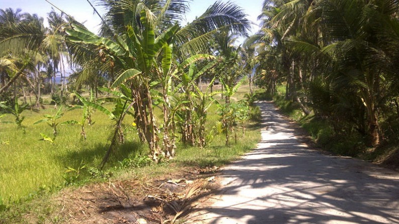 Land Only 150 Meter From The Beach At Saba Gianyar