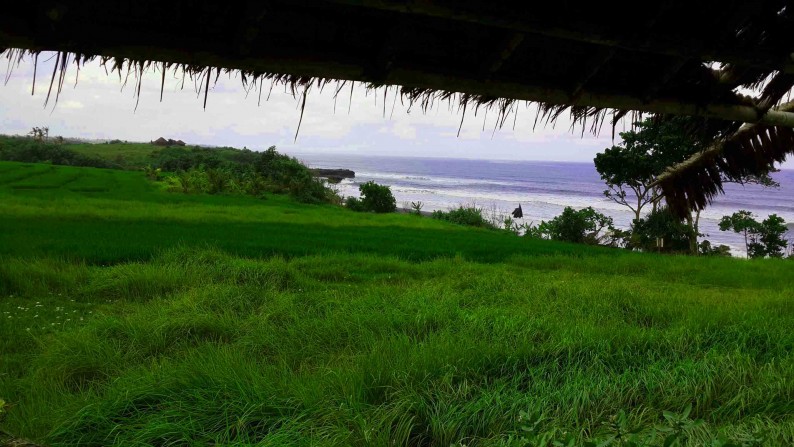 Beach Front Land At Kelating Tabanan