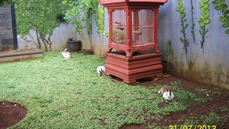 Rumah Bagus Siap Huni