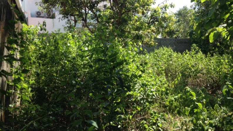 Land At Balangan For Sale