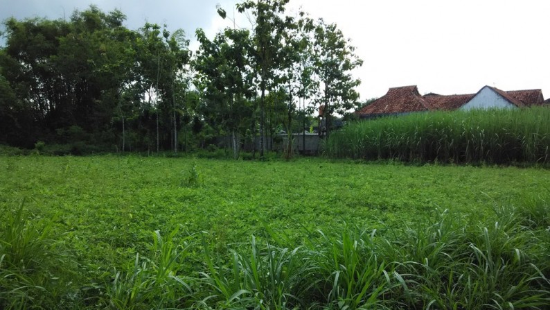 TANAH DIJUAL DI JETIS, WEDOMARTANI, NGEMPLAK, SLEMAN