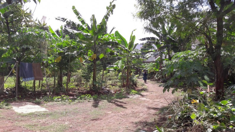 Sebidang Tanah Untuk Hunian Eksklusif Area Ampera