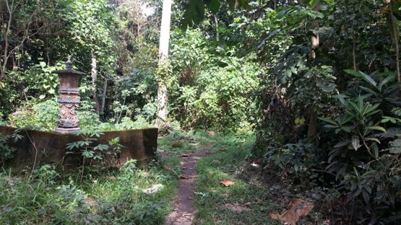 River Front LAnd At Tumbak Bayuh