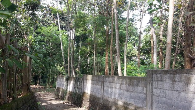 River Front LAnd At Tumbak Bayuh