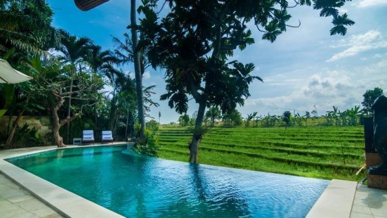 Luxury Villa Surrounded With Rice Paddy Field At Berawa Canggu