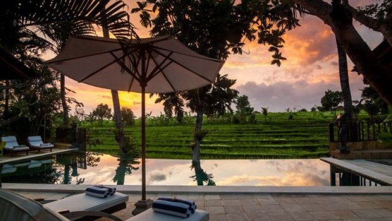 Luxury Villa Surrounded With Rice Paddy Field At Berawa Canggu