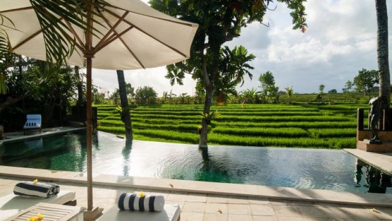 Luxury Villa Surrounded With Rice Paddy Field At Berawa Canggu