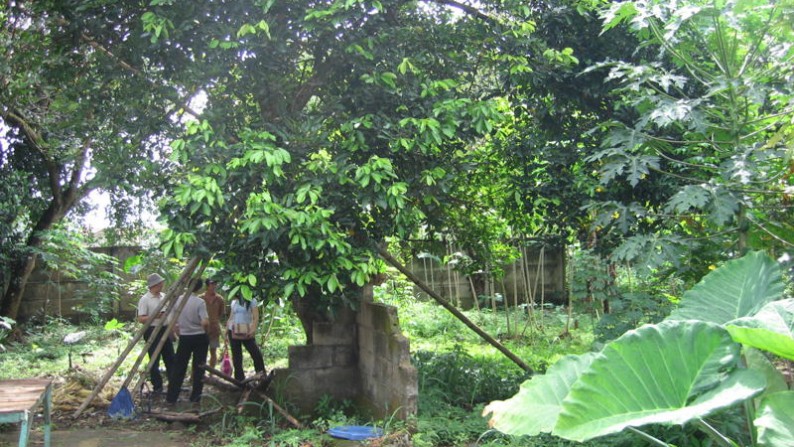 kav di jl.tapos, bogor, cibinong cocok untuk gudang / home industri / supermarket