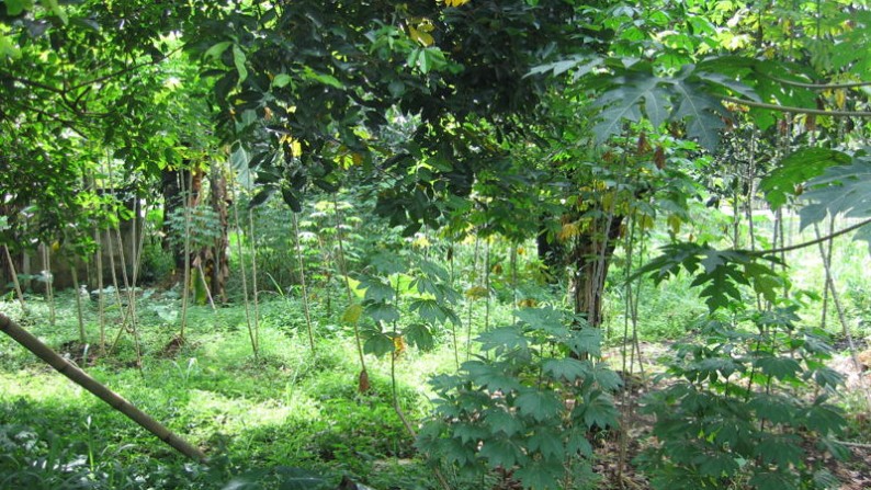 kav di jl.tapos, bogor, cibinong cocok untuk gudang / home industri / supermarket