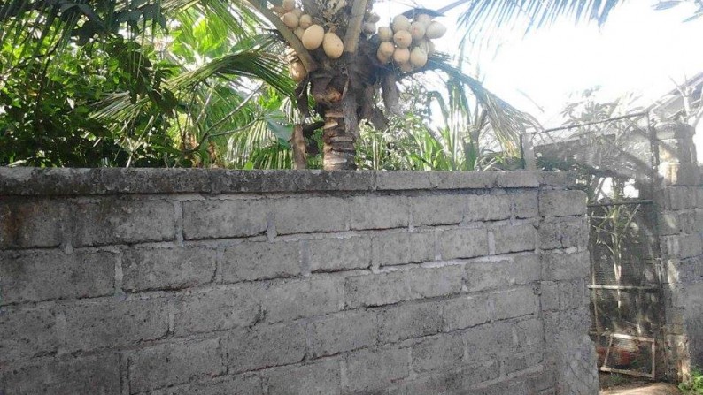 300 sq m peaceful freehold land 30 minutes from Ubud Main Street