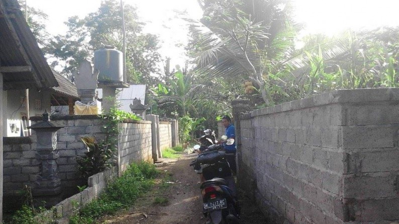 300 sq m peaceful freehold land 30 minutes from Ubud Main Street